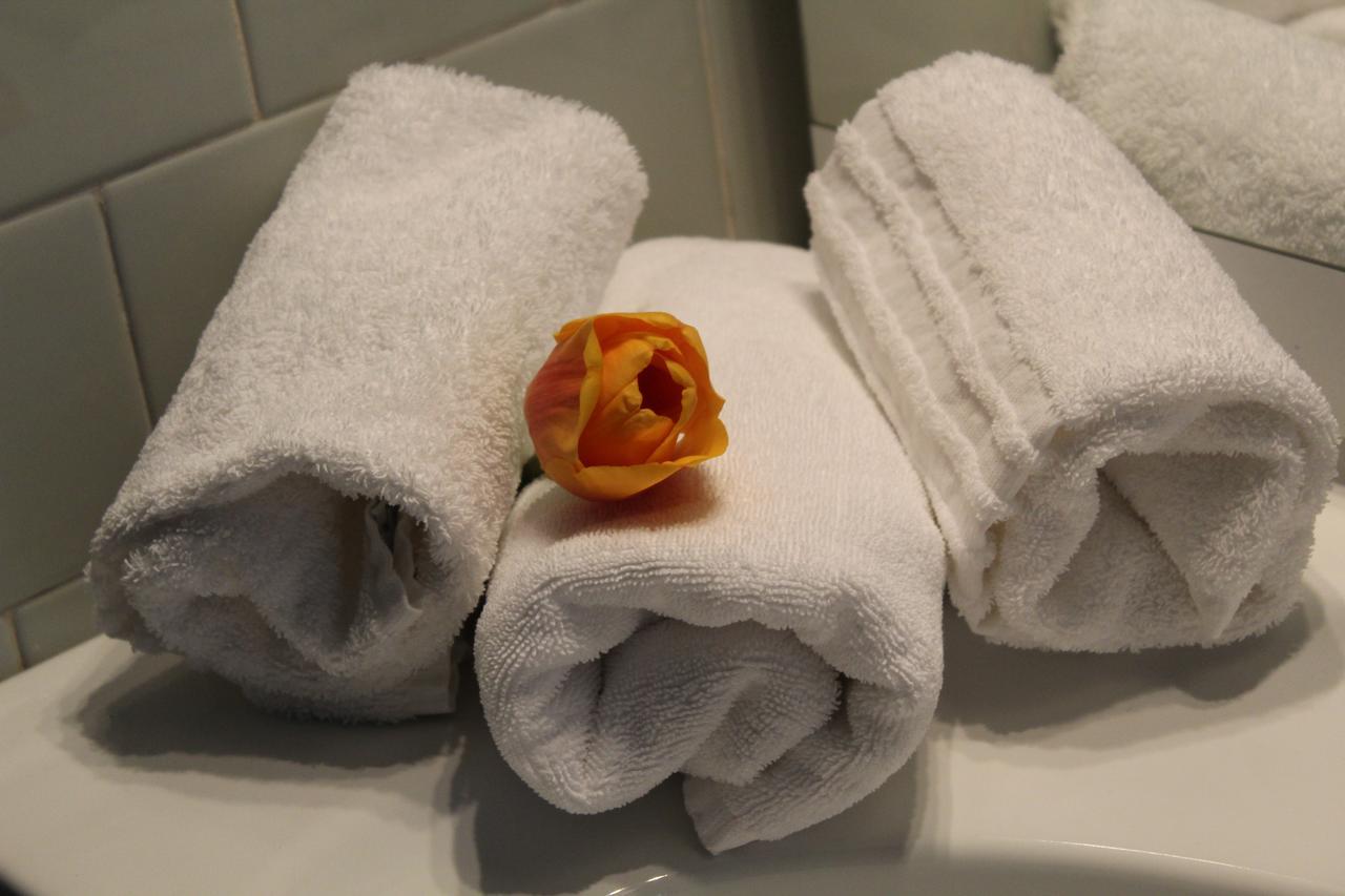 Hotel Salus Salice Terme Extérieur photo
